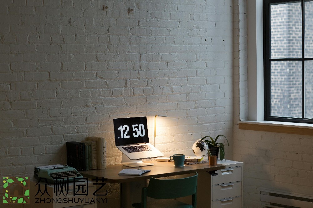 蘇州室內(nèi)綠植租擺費用揭秘：預(yù)算、選擇和維護，一次性了解!